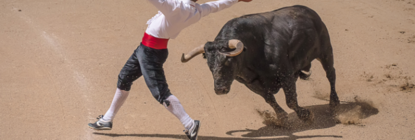 Namnlös design – 2025-09-09T114942.115